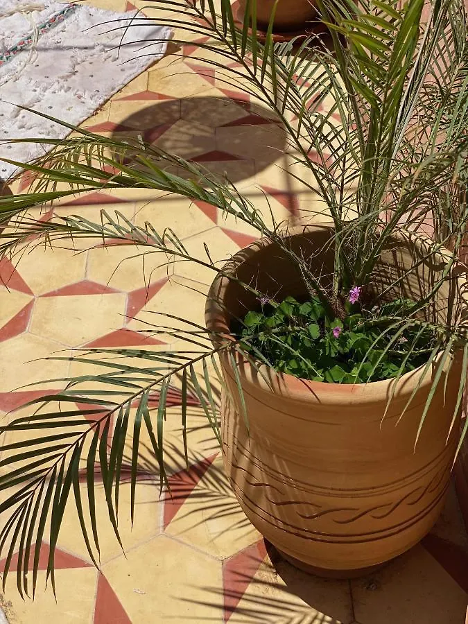 Riad L'Emeraude De La Medina Marrakesh
